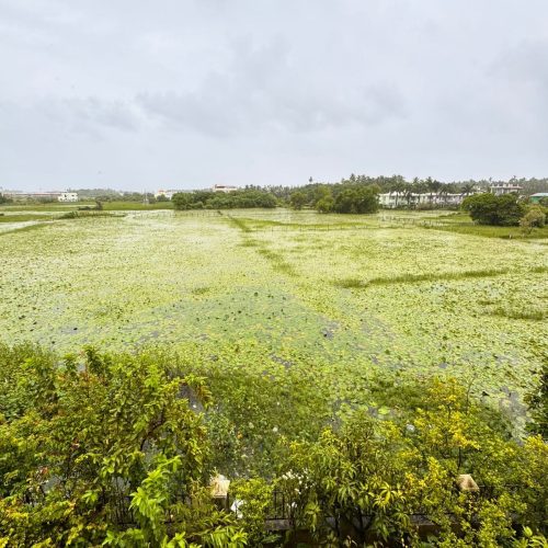 Villa Novara 14 IMG-20250914-WA0080