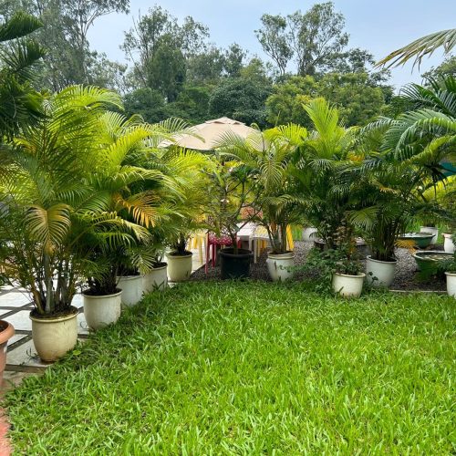 Villa Verdeza 9 IMG-20250916-WA0478