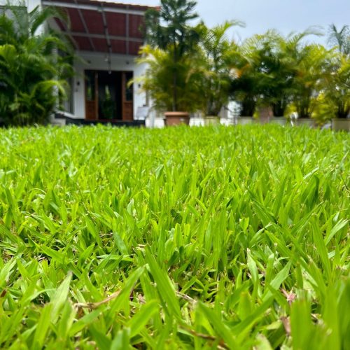Villa Verdeza 11 IMG-20250916-WA0480