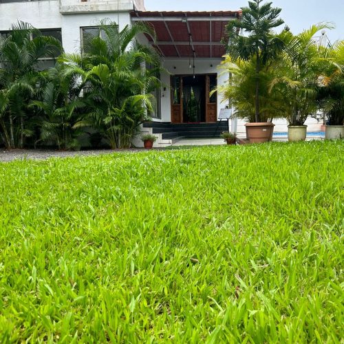 Villa Verdeza 7 IMG-20250916-WA0482