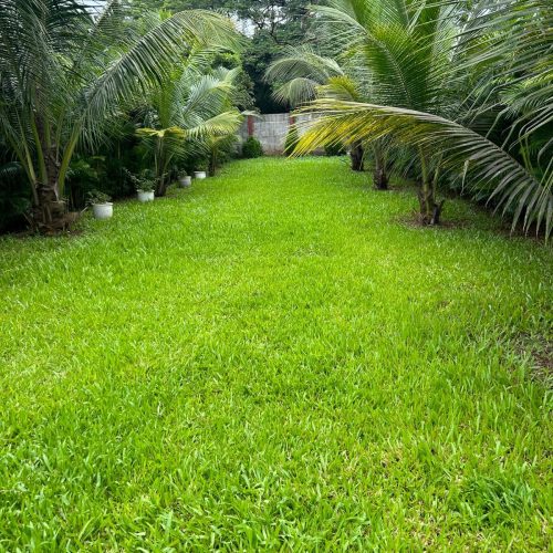 Villa Verdeza 5 IMG-20250916-WA0486