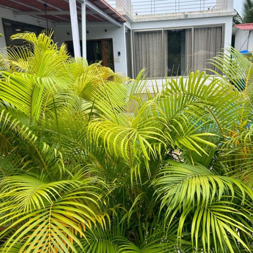 Villa Verdeza 17 IMG-20250916-WA0488